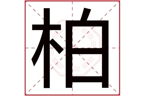 柏五行|柏字的五行属什么